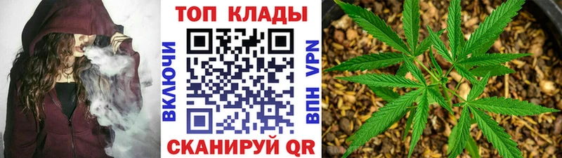 Галлюциногенные грибы Прохладный