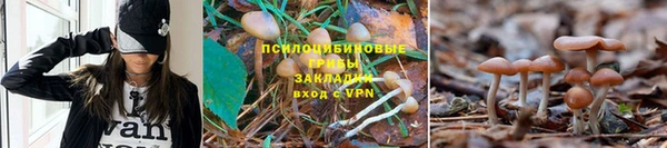 мдма Дмитров
