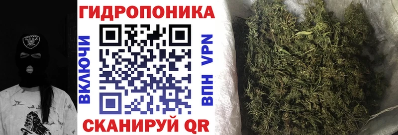 Купить  Прохладный  Шишки марихуана тримм 